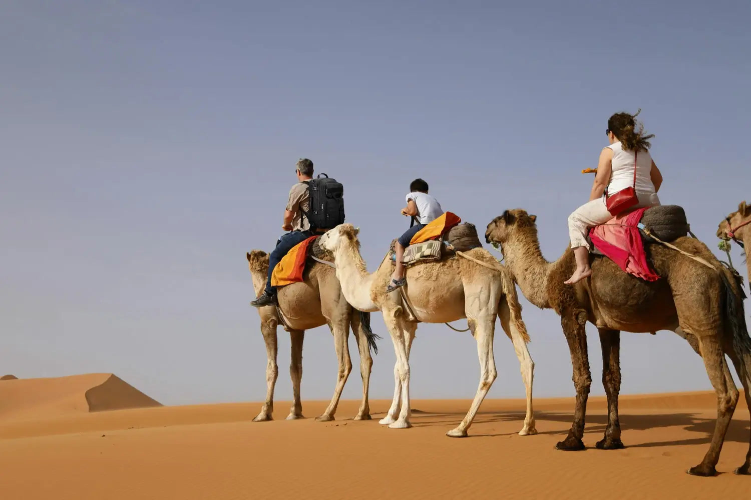 Desert trip travel backpack on camel's back